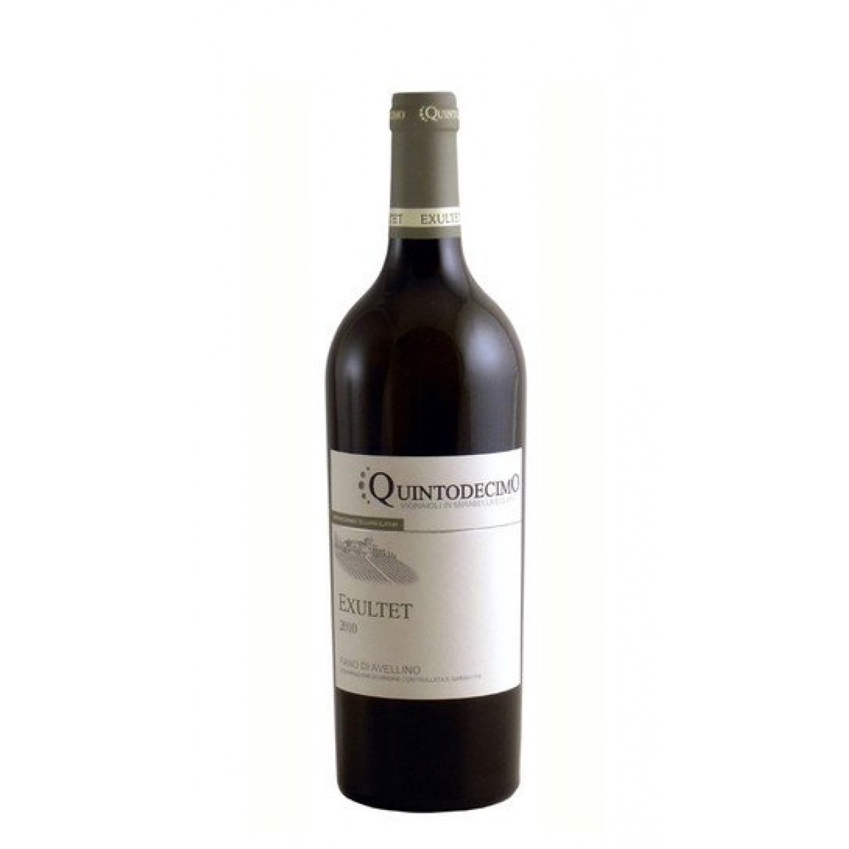 Hubspirits vendita distillati online Vino Quintodecimo Exultet Fiano di Avellino DOCG 2022 75cl